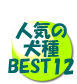 人気の犬種BEST10