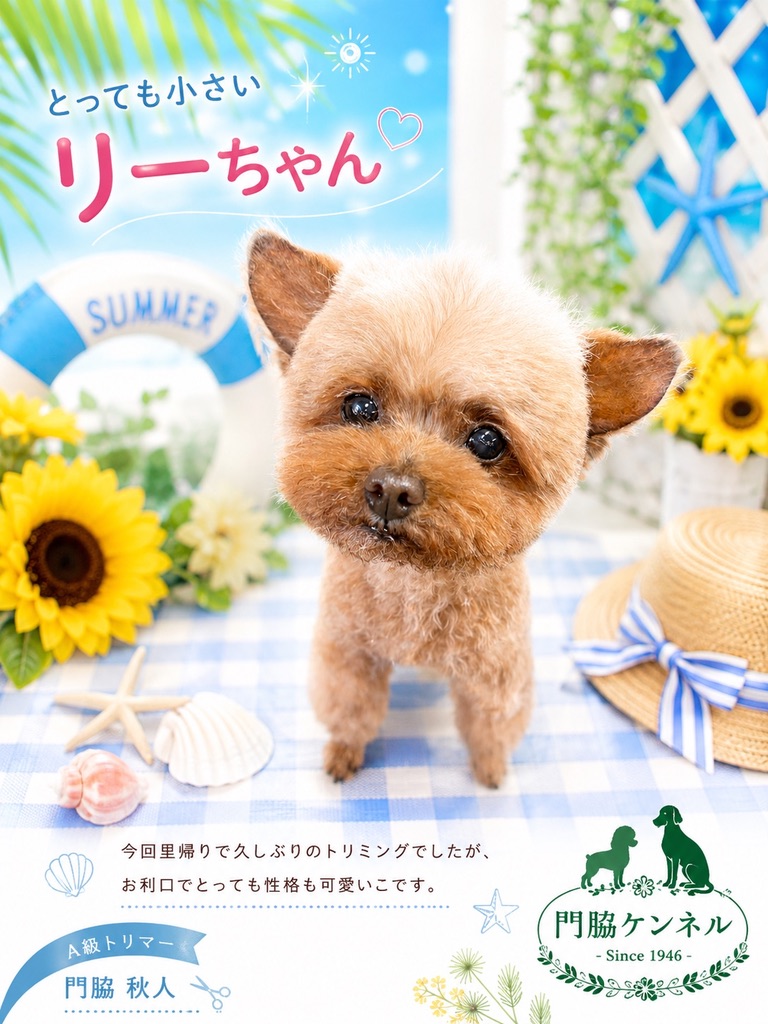 夏らしく仕上がった小さなリーちゃん