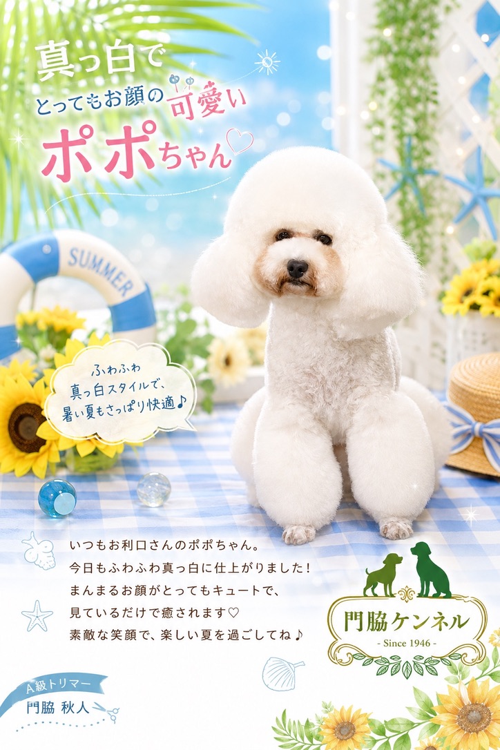 ふわふわに仕上がった白い犬